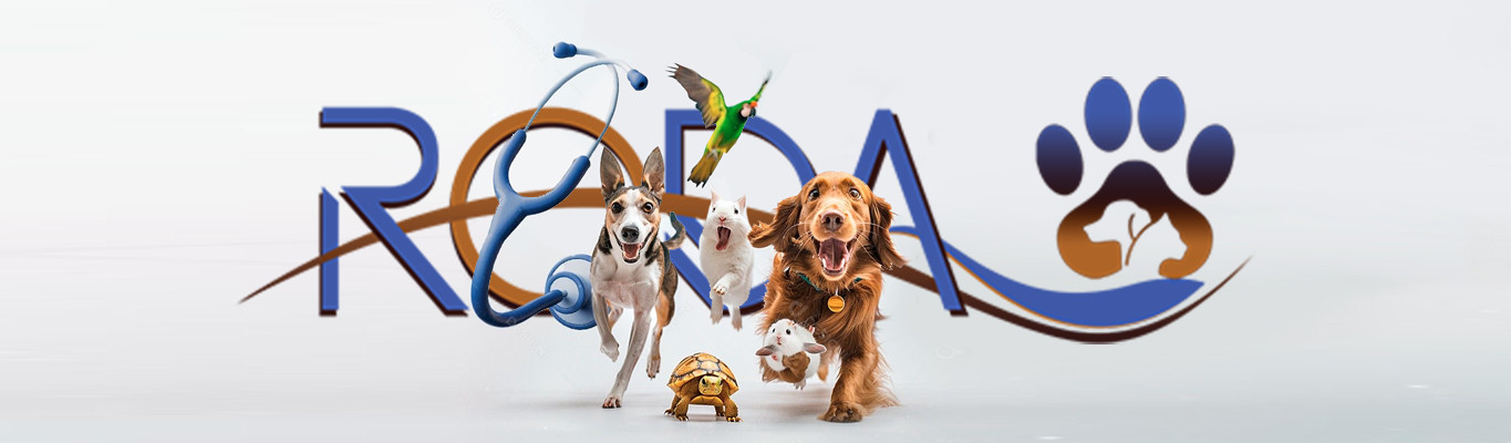 ارتباط با ما