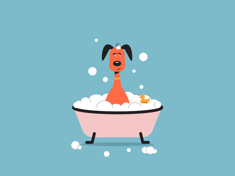 شستشوی حیوانات خانگی